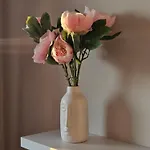Stylische Sunset-wohnung Appartement Augsbourg